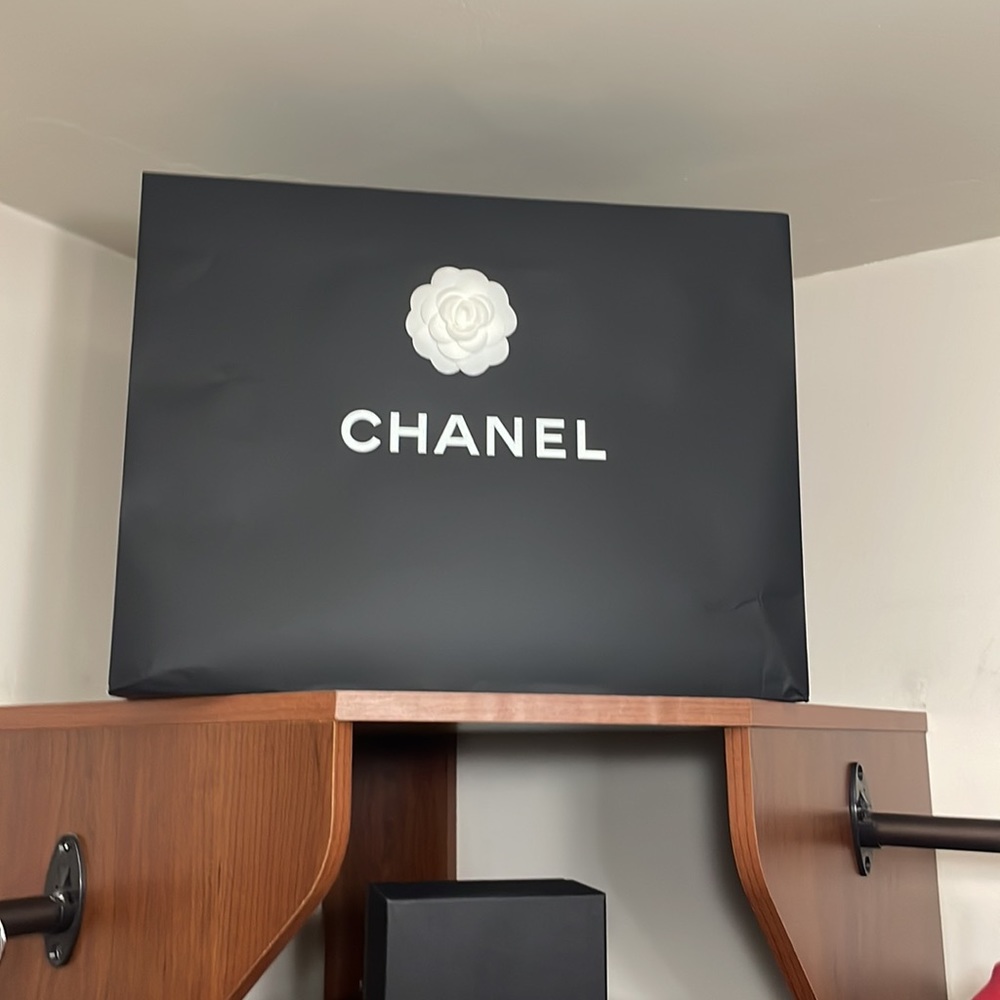 Chanel Prada Alexander McQueen Dior Shopping Bags